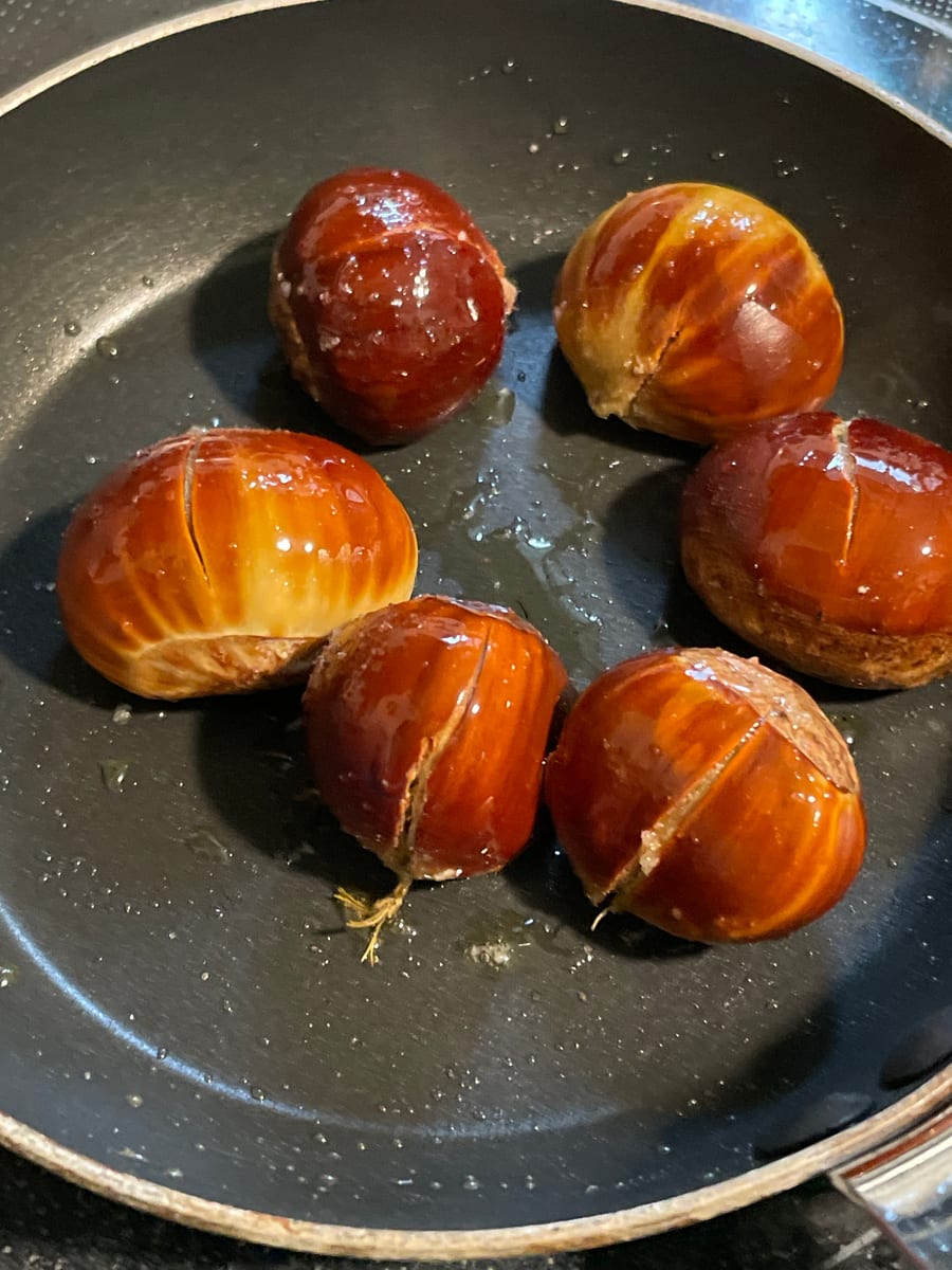 Chestnut Tree 1