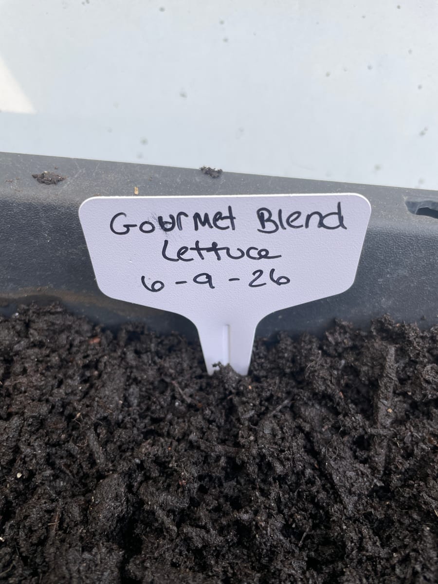 Lettuce Gourmet Blend